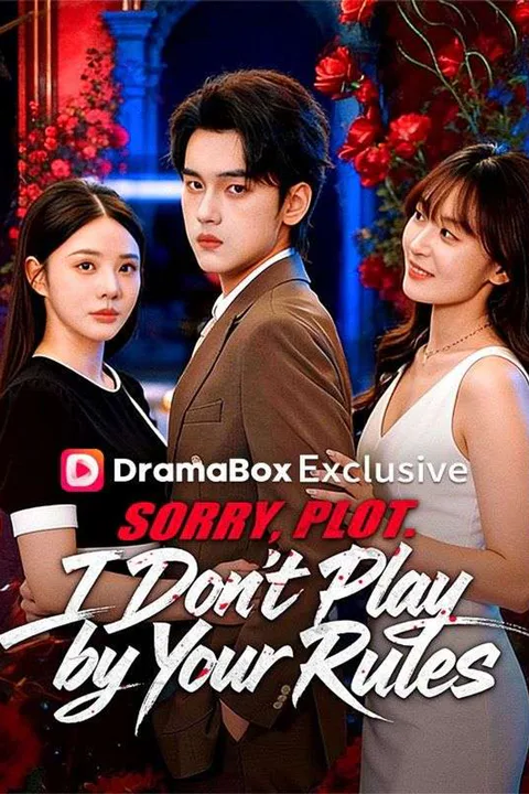 Sorry, Plot. I Don't Play by Your Rules poster