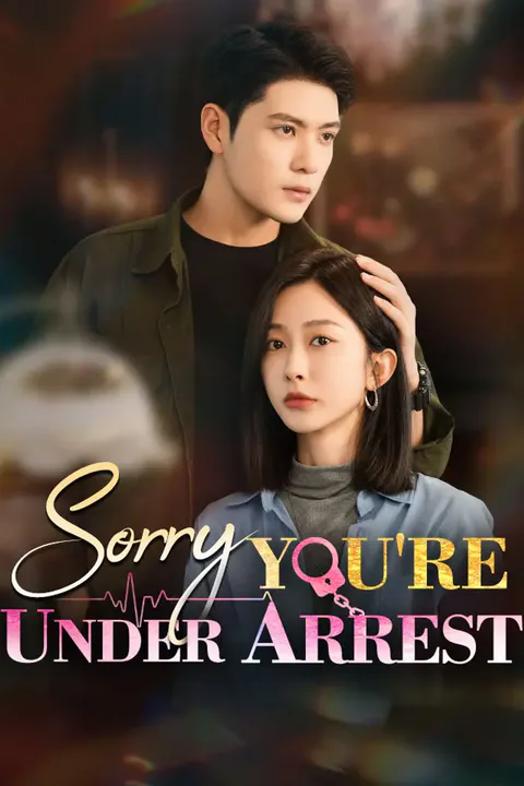 Sorry, You're Under Arrest poster