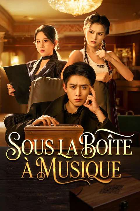 Affiche de Sous la boîte à musique