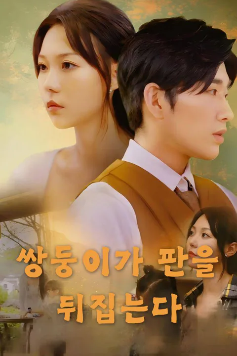 쌍둥이가 판을 뒤집는다 포스터