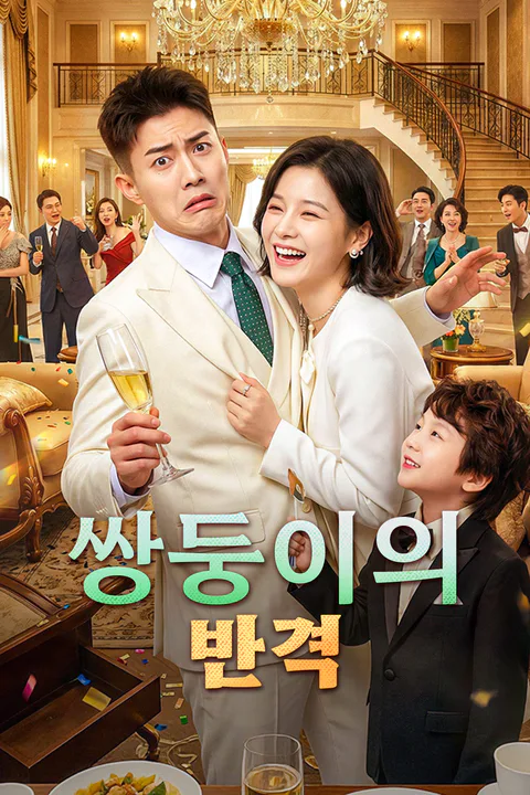 쌍둥이의 반격 포스터