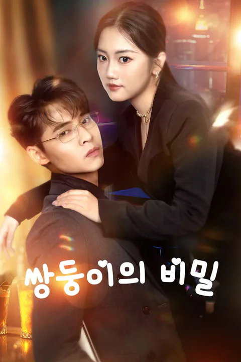 쌍둥이의 비밀 포스터
