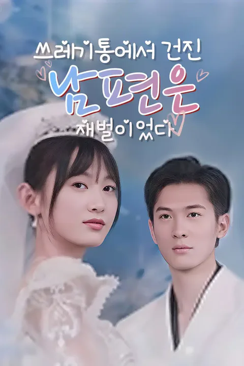 쓰레기통에서 건진 남편은 재벌이었다 포스터