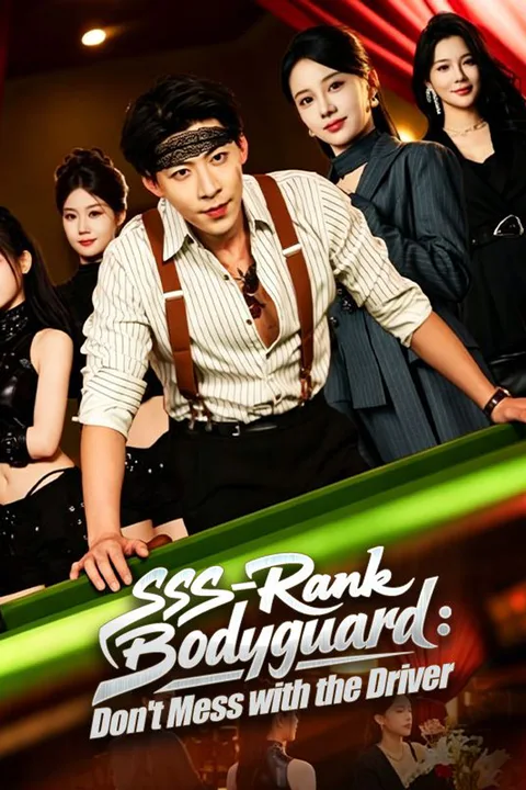 SSS-Rank Bodyguard: Don't Mess with the Driver poster
