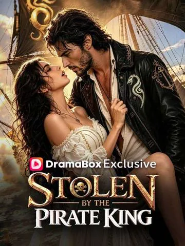 Stolen By The Pirate King poster