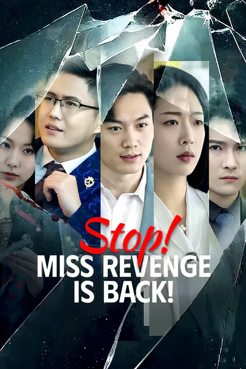 Póster de Stop! Miss Revenge Is Back!