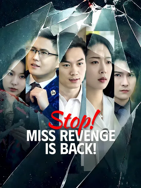 Stop! Miss Revenge Is Back! poster