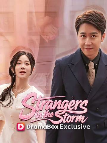 Strangers in the Storm poster