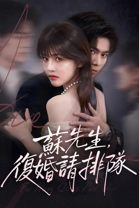 《蘇先生，復婚請排隊》海報
