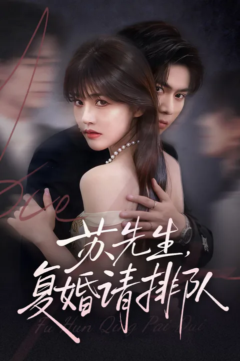 《苏先生，复婚请排队》海报