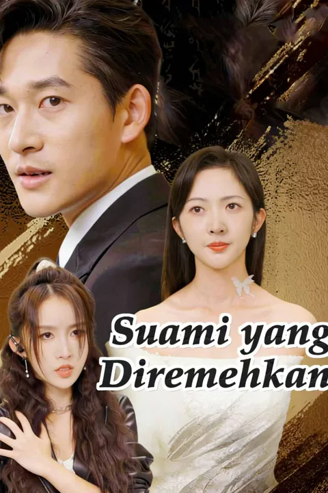 Poster Suami yang Diremehkan