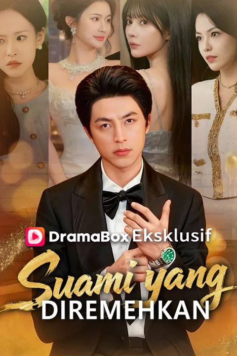 Poster Suami yang Diremehkan