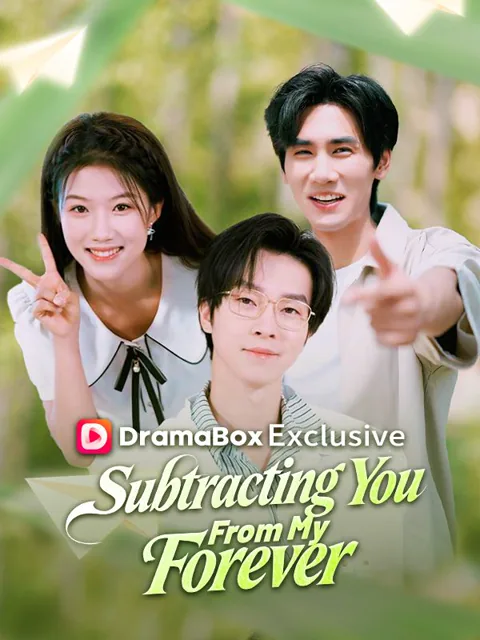 Subtracting You From My Forever poster