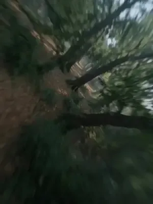 Suna'nın bulduğu güçlü ailesi afişi