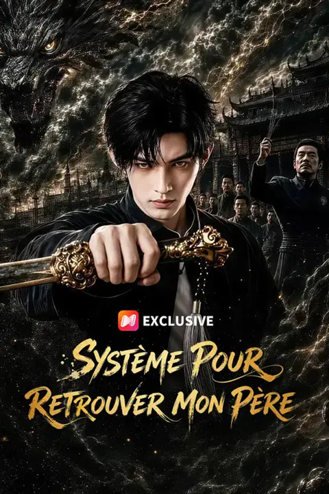 Affiche de Système pour retrouver mon père