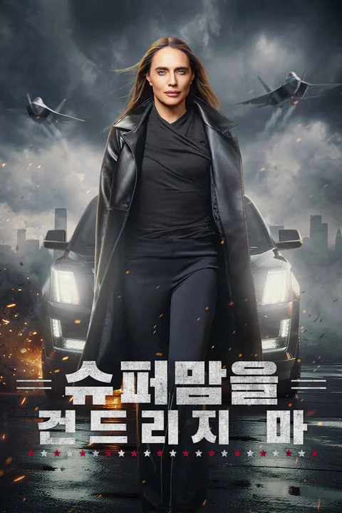 슈퍼맘을 건드리지 마 포스터