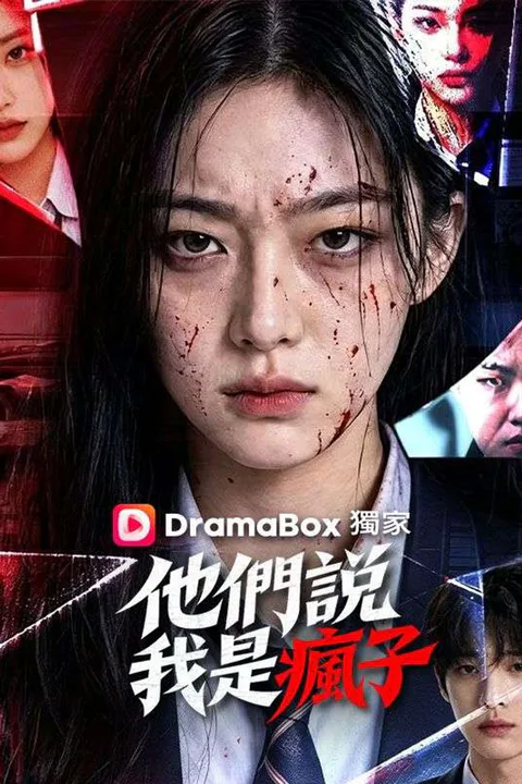 《他們說我是瘋子》海報