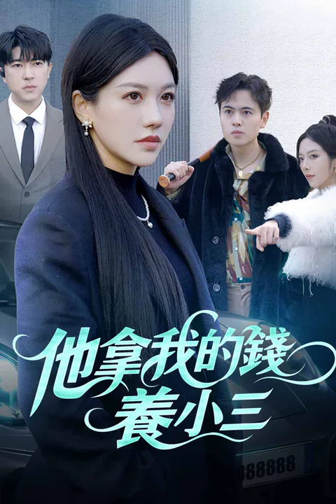 《他拿我的錢養小三》海報