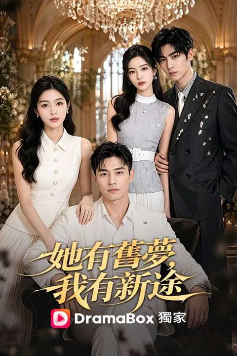 《她有舊夢，我有新途》海報