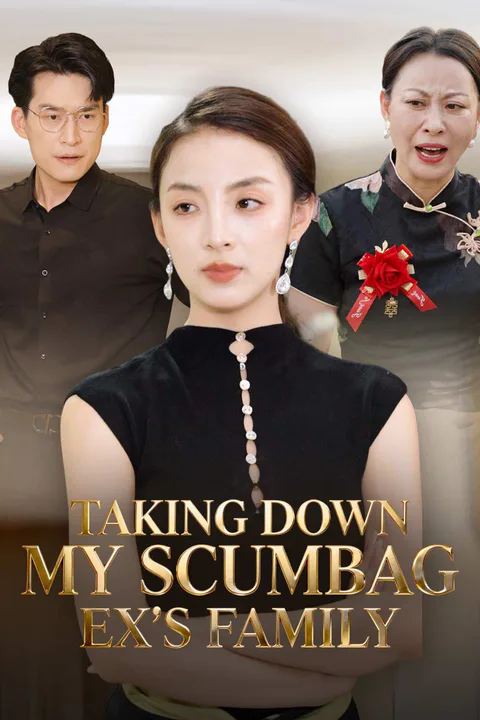 Taking Down My Scumbag Ex's Family poster