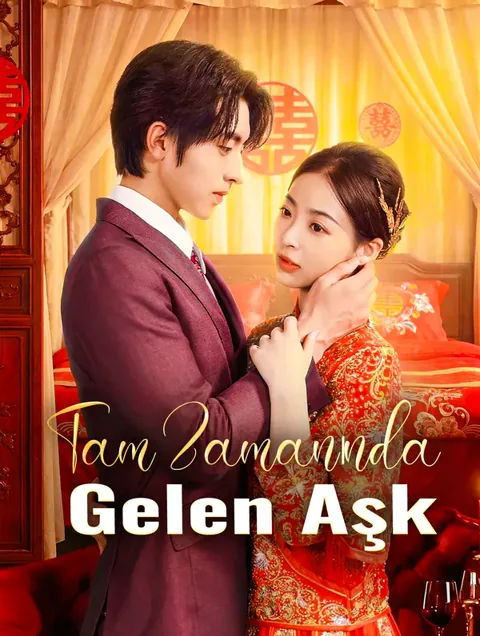 Tam Zamanında Gelen Aşk afişi