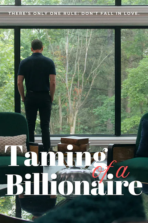 Taming of a Billionaire poster