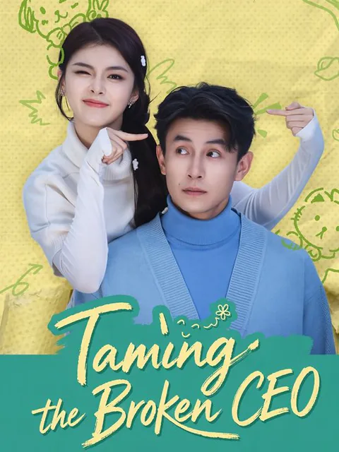 Taming the Broken CEO poster