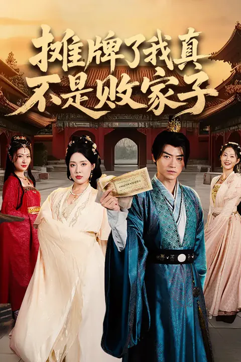 《摊牌了我真不是败家子》海報