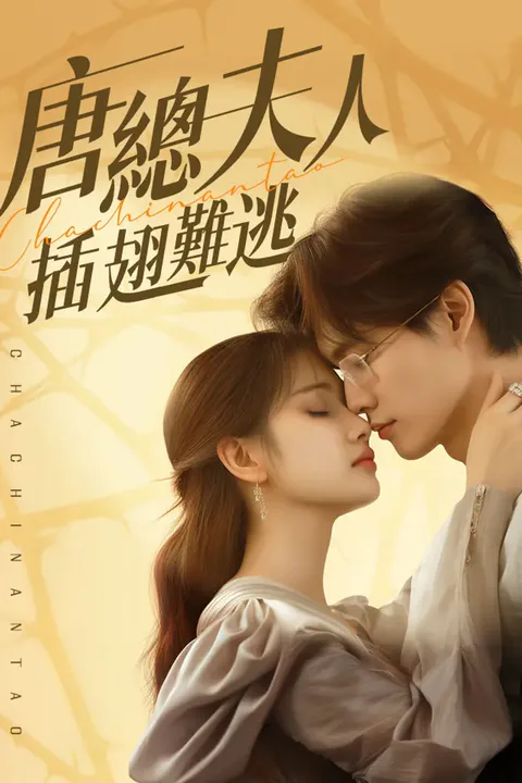《唐總夫人插翅難逃》海報