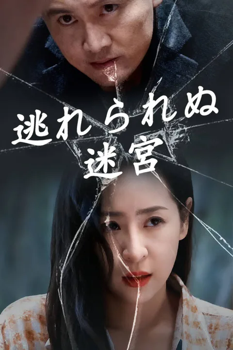 逃れられぬ迷宮のポスター