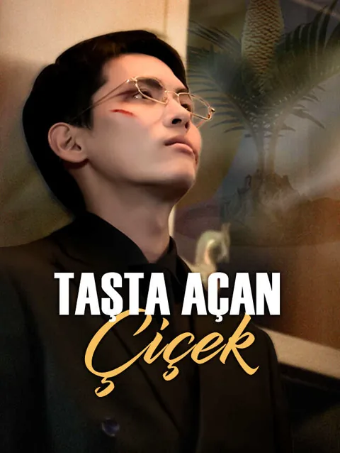 taşta açan çiçek afişi