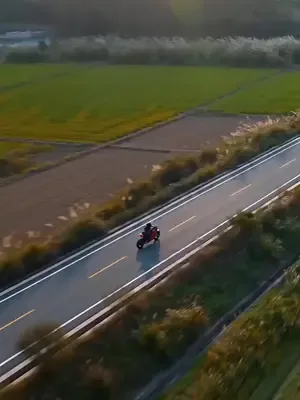 Tazminat istediğin kişi şefin afişi