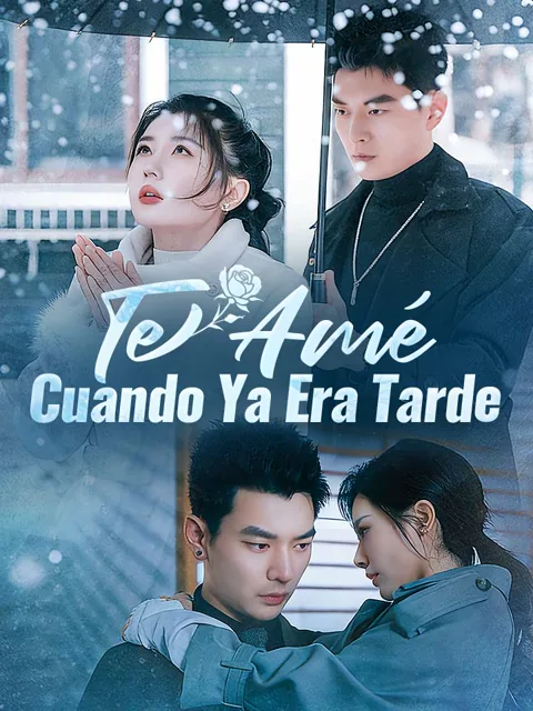 Póster de Te Amé Cuando Ya Era Tarde