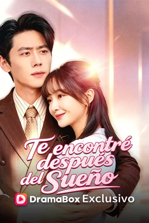Póster de Te encontré después del sueño