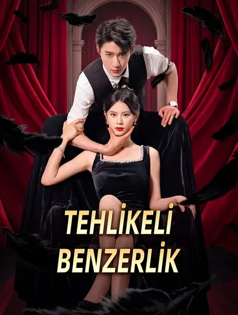 TEHLİKELİ BENZERLİK afişi