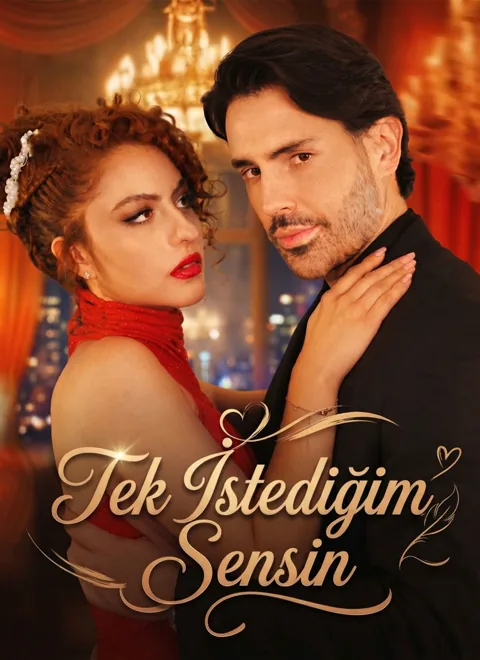 Tek İstediğim Sensin afişi