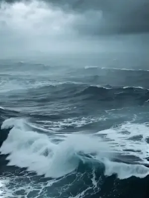 Teknem Sınırsız Gelişiyor afişi