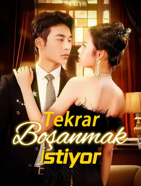 Tekrar Boşanmak İstiyor afişi
