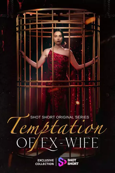 Affiche de Temptation of the Ex-Wife