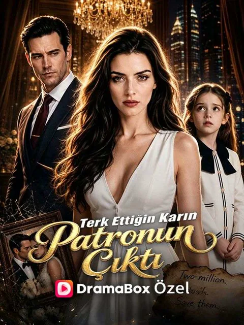 Terk Ettiğin Karın Patronun Çıktı afişi