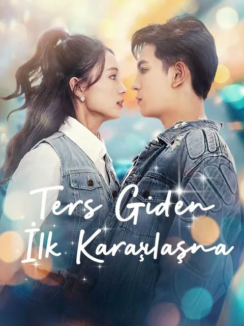 Ters Giden İlk Karşılaşma afişi