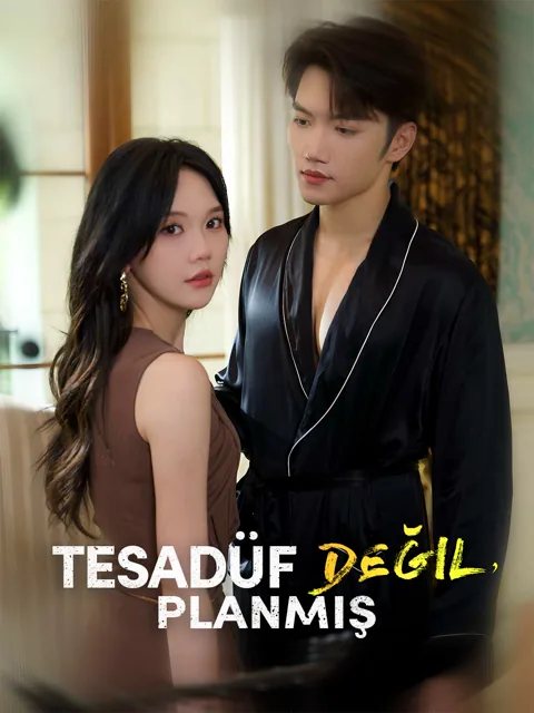 Tesadüf Değil, Planmış afişi