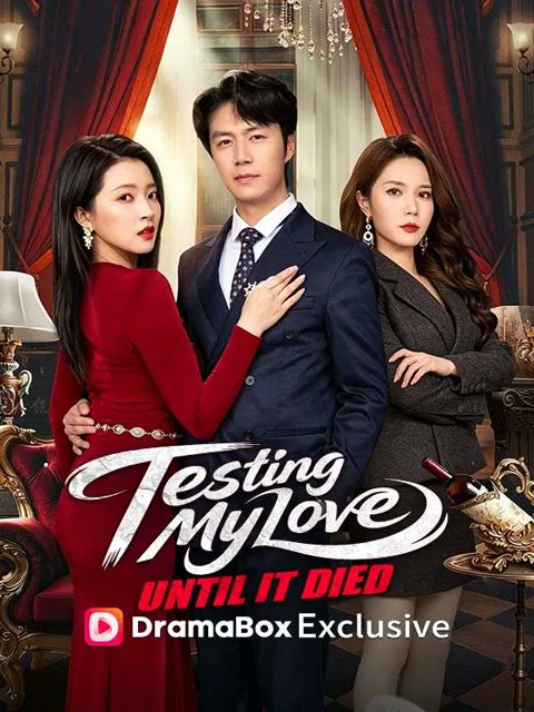 Testing My Love Until It Died poster