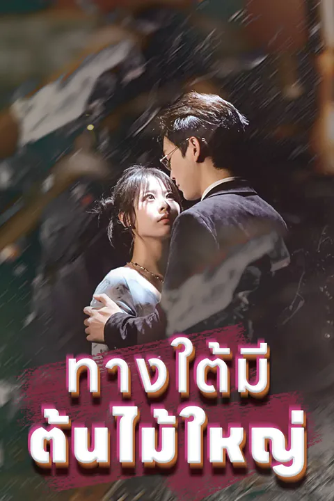 โปสเตอร์ ทางใต้มีต้นไม้ใหญ่