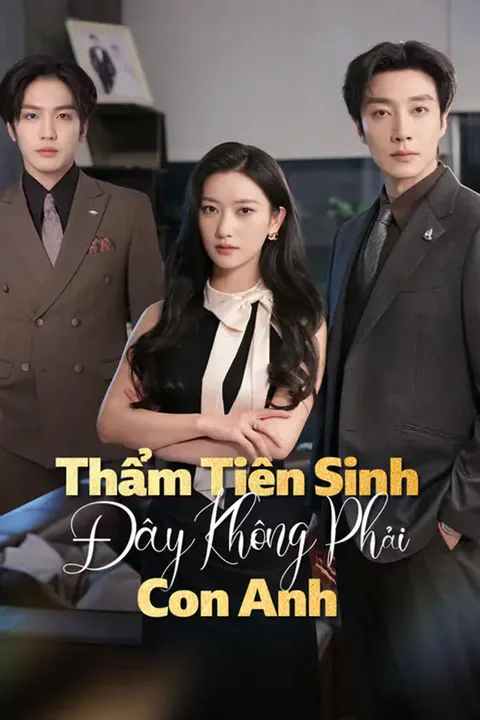 Poster Thẩm Tiên Sinh, Đây Không Phải Con Anh