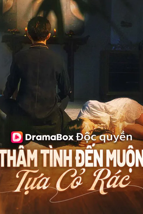 Poster Thâm Tình Đến Muộn Tựa Cỏ Rác