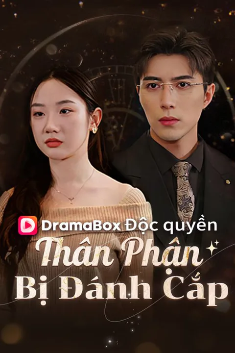 Poster Thân Phận Bị Đánh Cắp