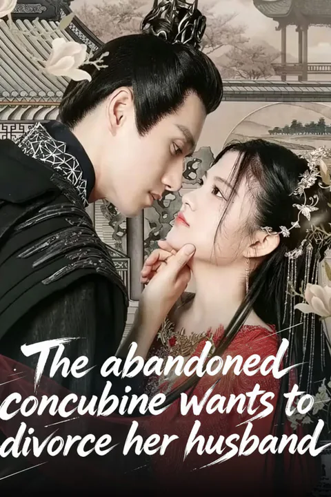The abandoned concubine wants to divorce her husband poster