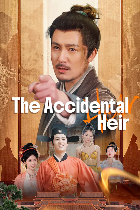 The Accidental Heir poster