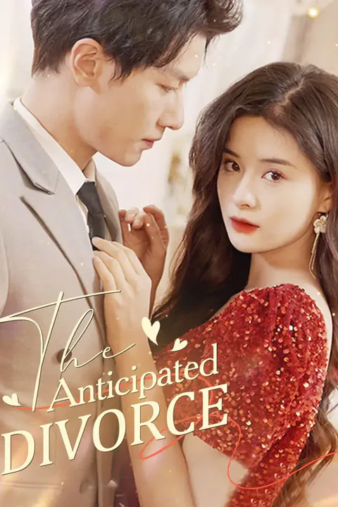 The Anticipated Divorce poster